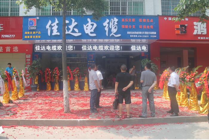 湖南91抖音免费版电线电缆有限公司,91抖音免费版电线电缆,91抖音视频在线观看系列,控制电缆,电线电缆企业哪里好