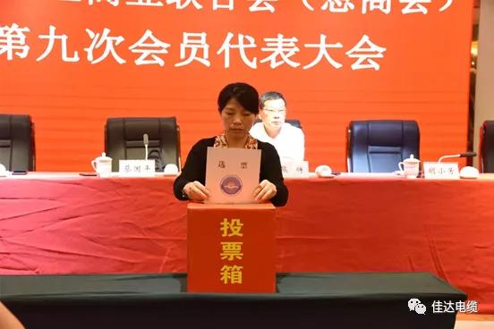 91抖音免费版电缆有限公司,91抖音免费版电缆,湖南91抖音免费版，